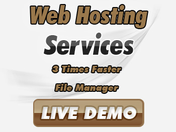 Web Hosting